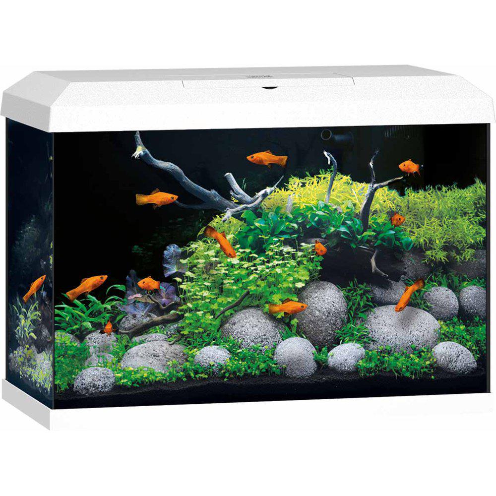 Juwel Primo 70 Akvarium 2.0 Vit LxBxH: 61x31x43,5cm 70 liter