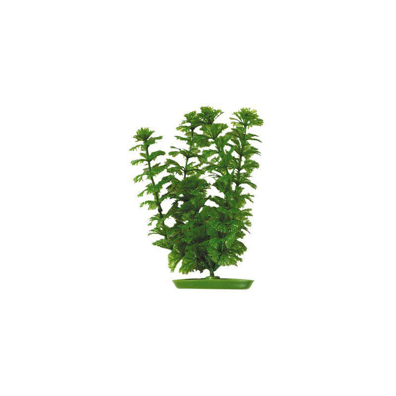 Marina Plastväxt Ambulia 13cm