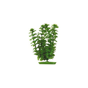 Marina Plastväxt Ambulia 13cm