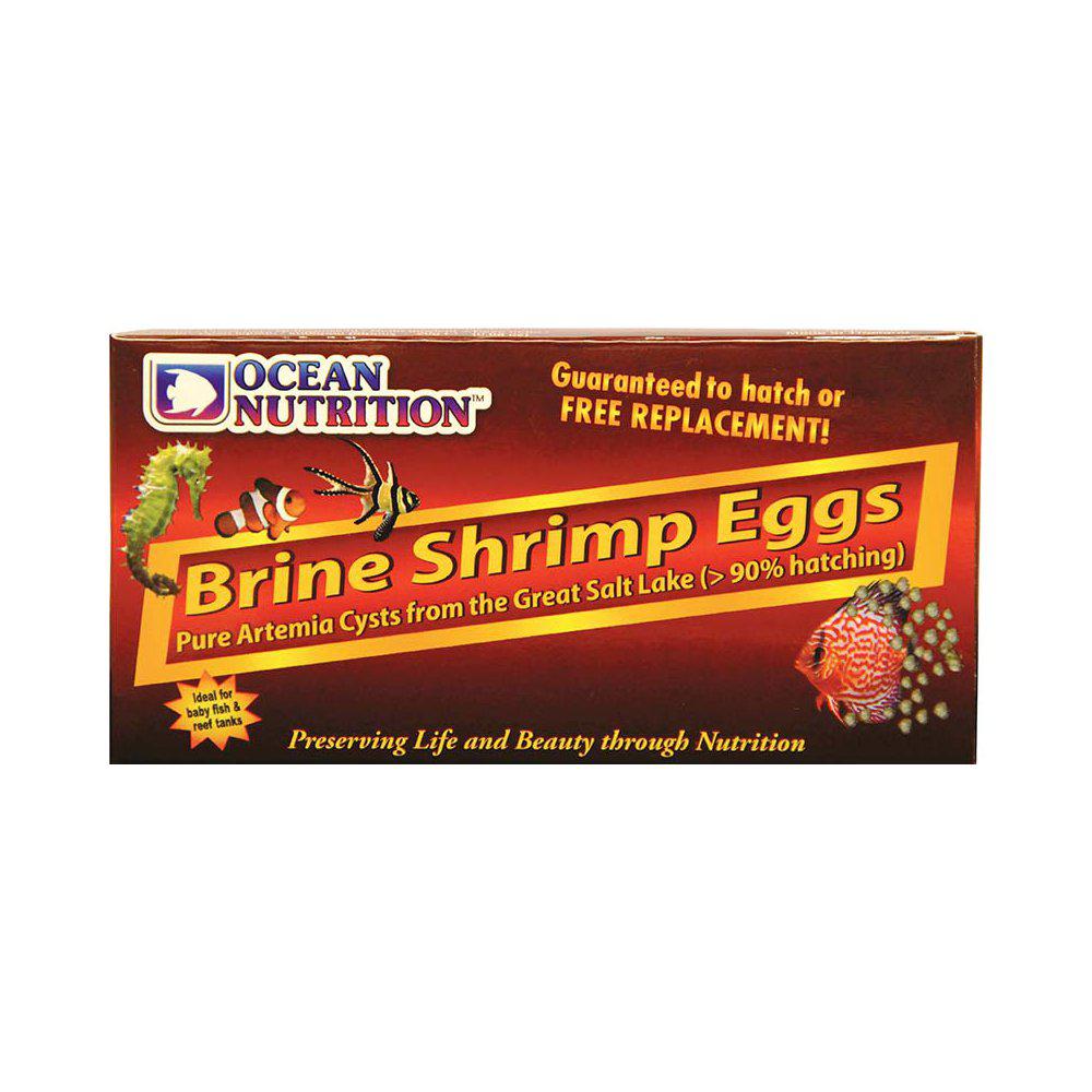 Ocean Nutrition Artemia/brine Shrimp Eggs 50g