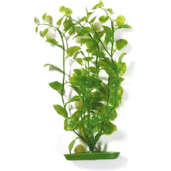 Marina Plastväxt Cardamine 37,5cm