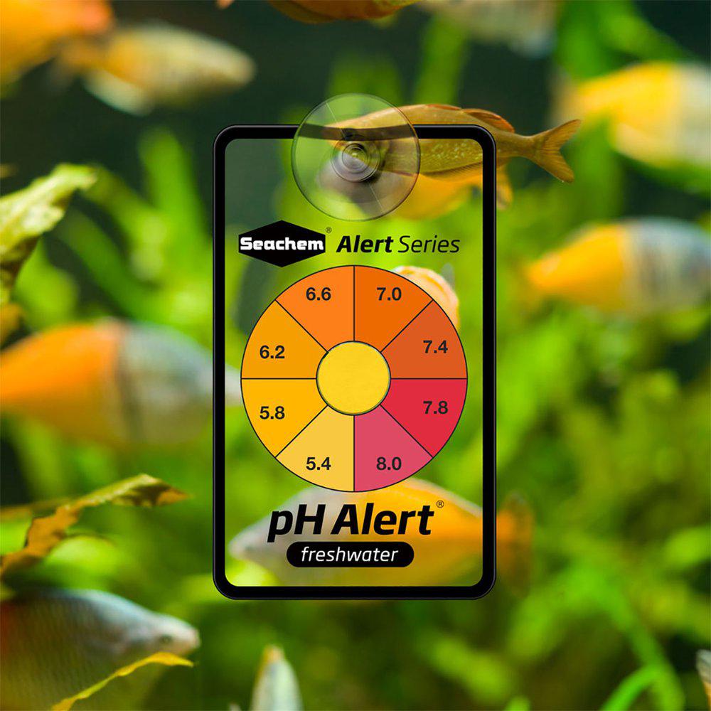 Seachem Ph Alert 6 Månader - 2