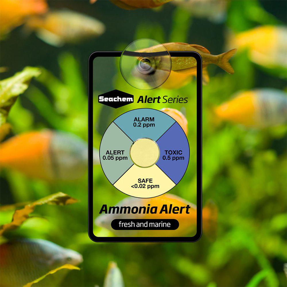 Seachem Combo Pack Ph/ammonia Alerts 6 Månader - 3