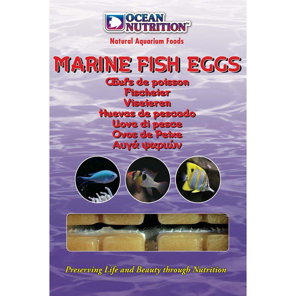Ocean Nutrition Marina Fisk Ägg 100g