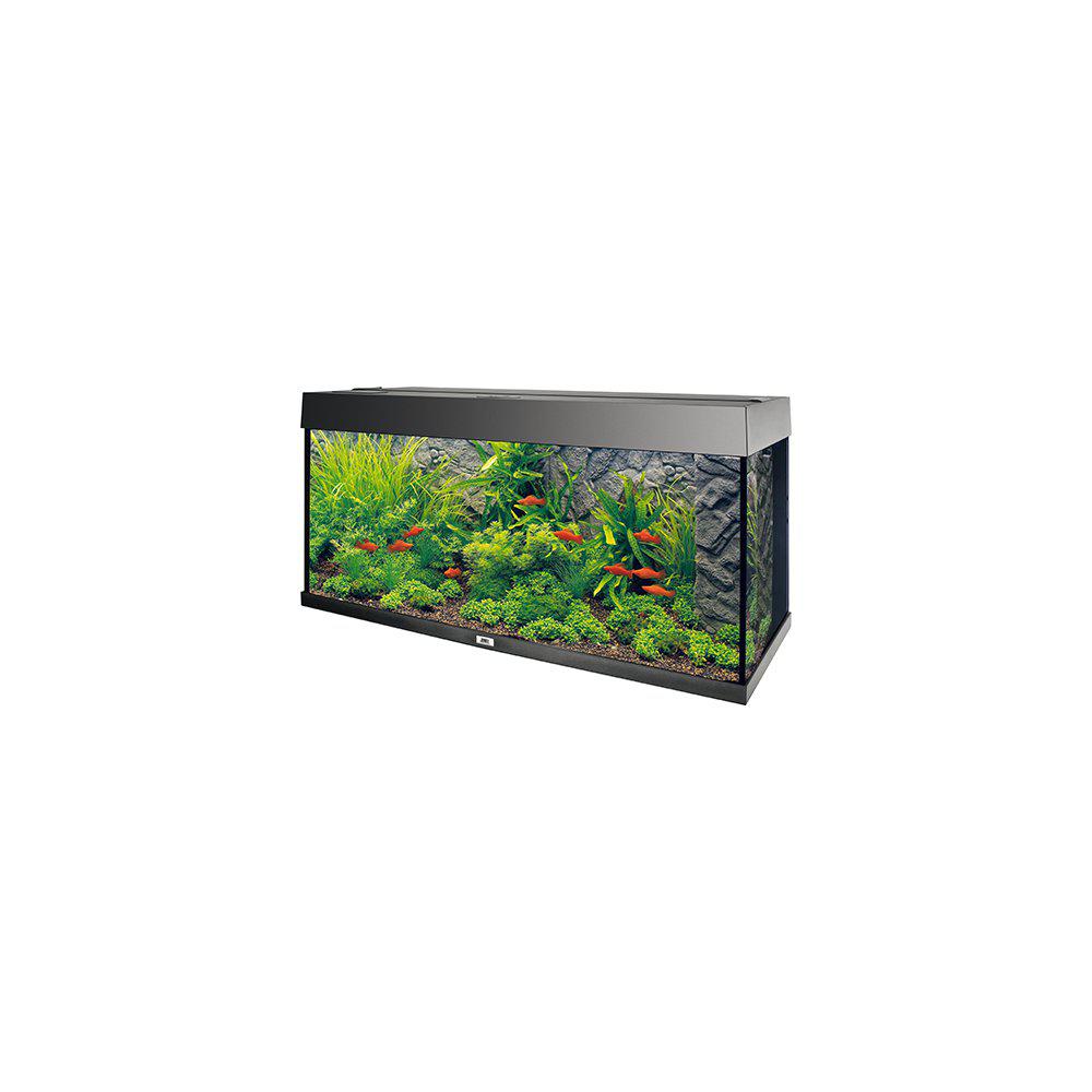 Juwel Bakgrund Stone Granite - 2