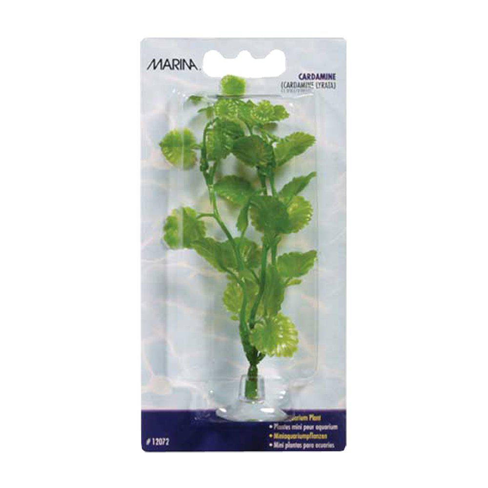 Marina Plastväxt Cardaminemini 10cm Med Sugkopp