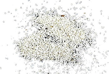 Aquadeco Akvariegrus Ciklid Vit Calcium 0,5-1,2mm, 5kg