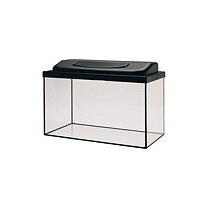 Helglas Basic med Ljusramp