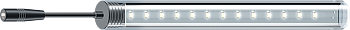 Lightwave