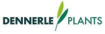 Dennerle Plants