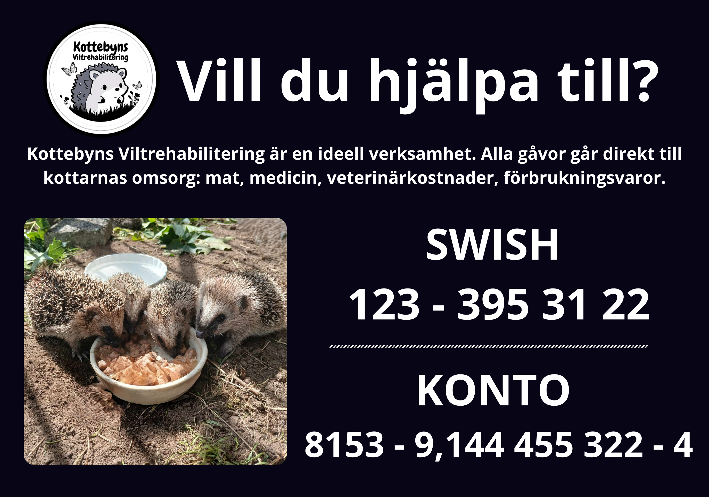 "Hittat en igelkott i kylan, vad ska jag göra?" - 7