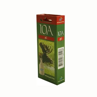 Säkring trög 10 amp. 5-pack.
