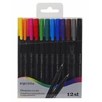 Fiberpenna 12-färger förp.
