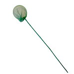 Fjärilshåv 140 cm, ø 20 cm
