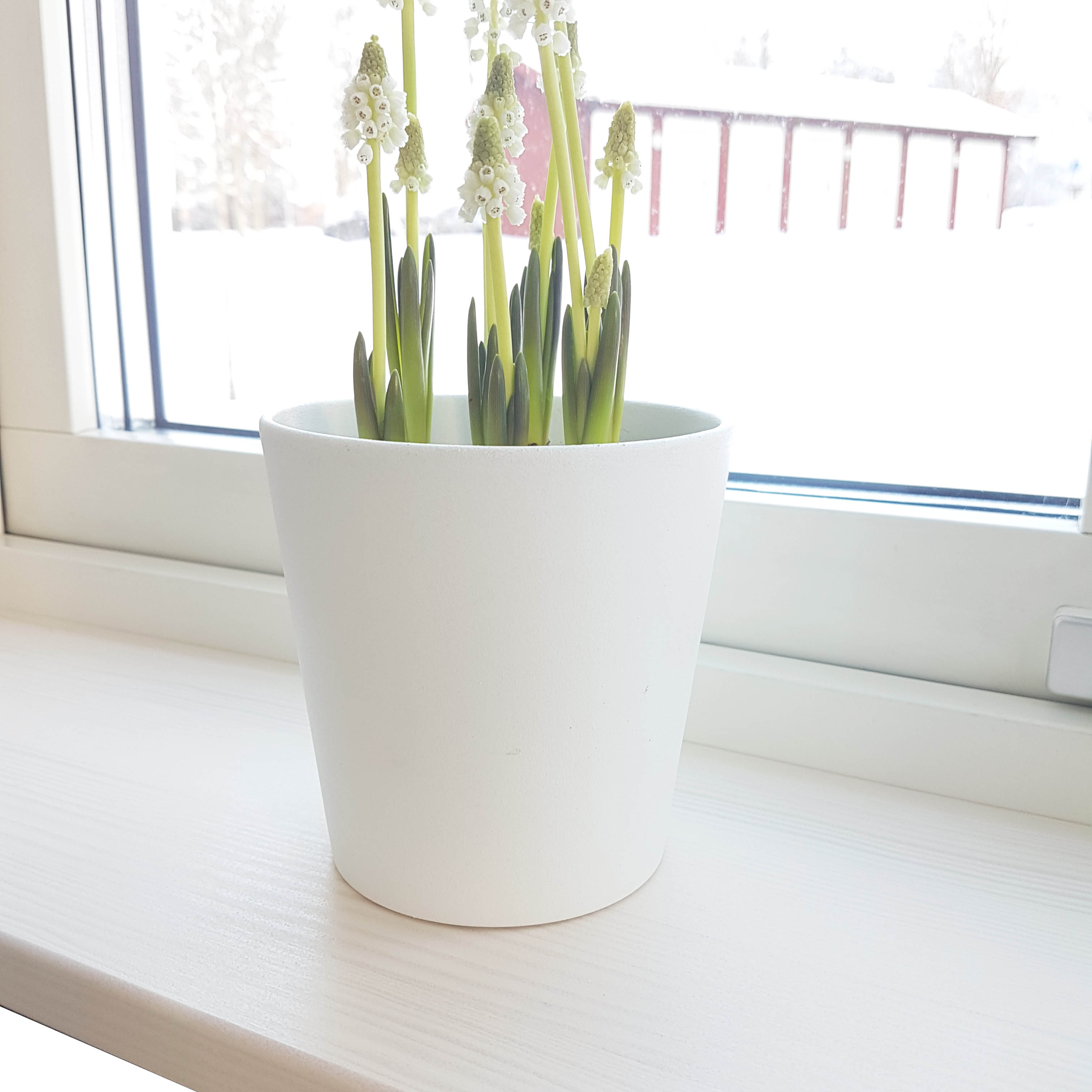 Fönsterbräda Nitton Trend furu vit lasyr inbyggd - 2