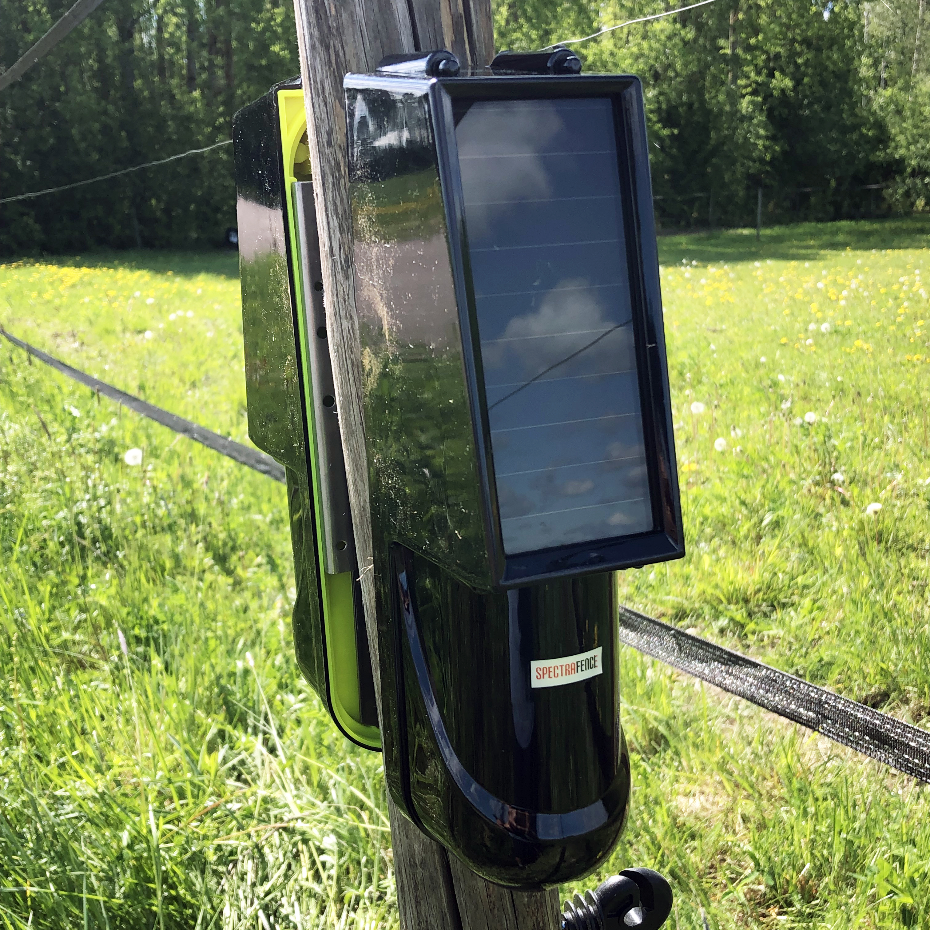 Radiostyrd bil barn utomhus