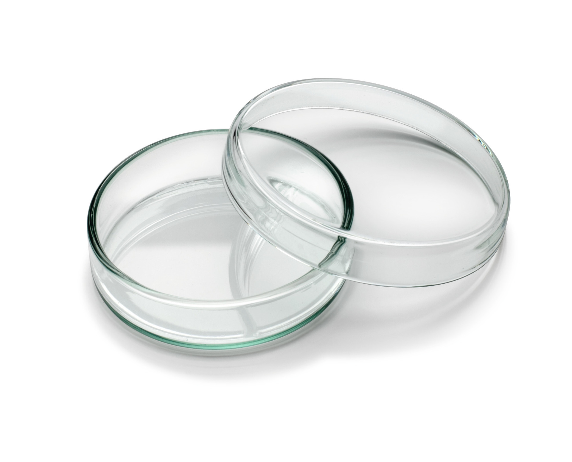peclavus® wellness glasinsats (till trädisplay för uppfräschningshandduk)