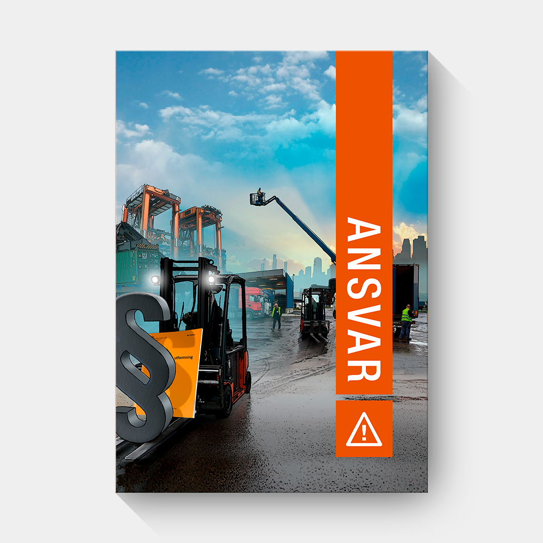 Elevset Ansvar