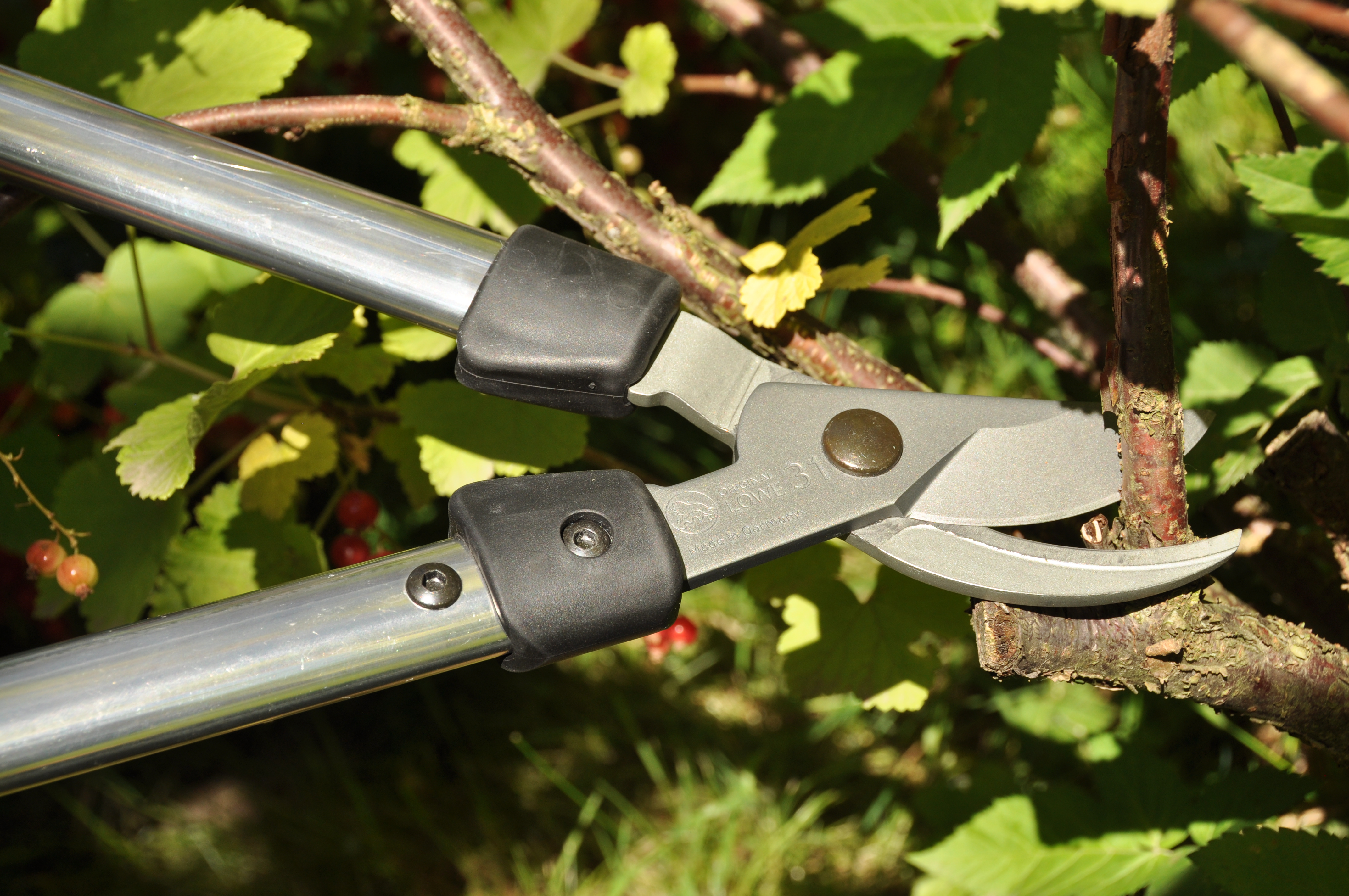 Löwe Tång/grensax 31050 - 4