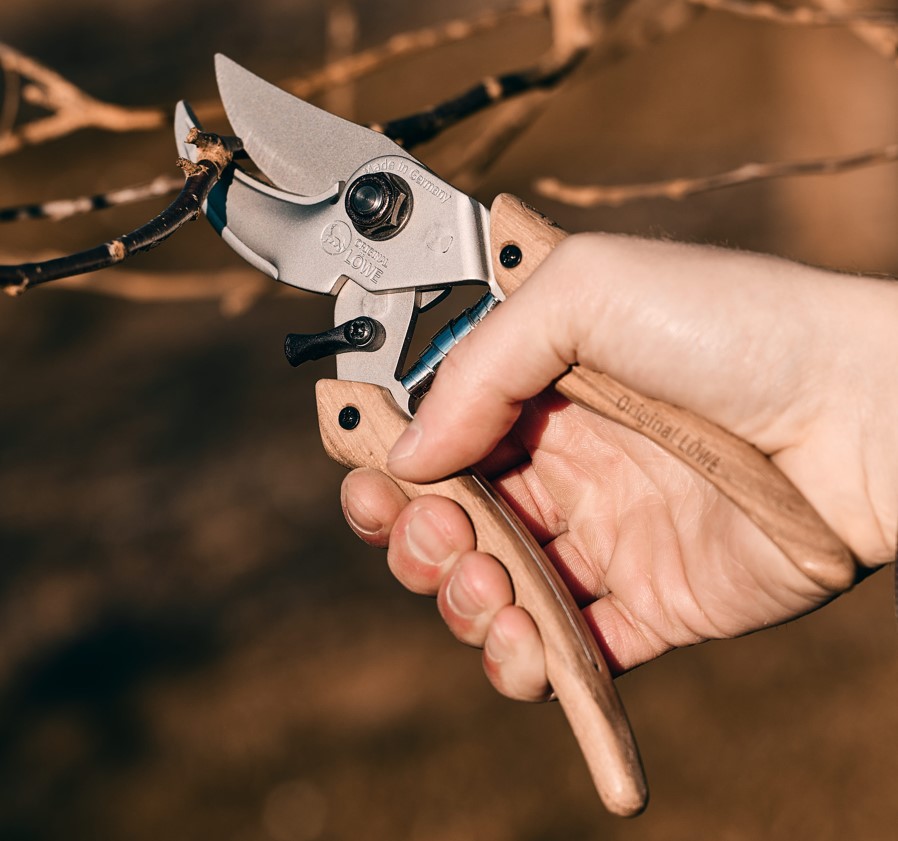 LÖWE Natural Ny serie 2026!  