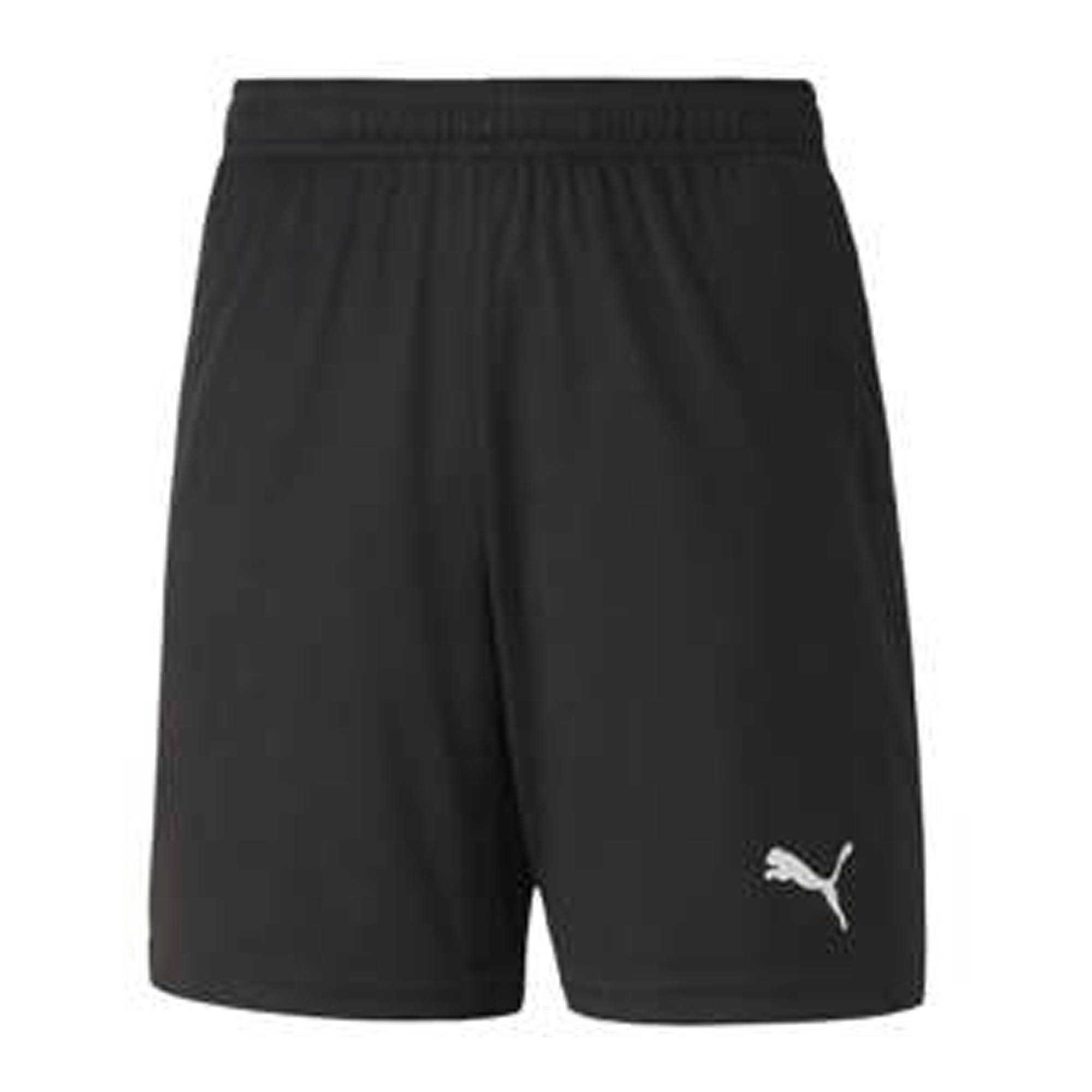Puma Teamgoal 23 Knit Shorts JR (Degeberga GOIF)