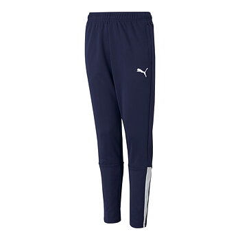 Puma Teamliga Training Pants Jr (BOSS)