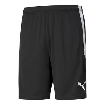 Puma Teamliga  Training Shorts "LEDARE" (Åsum BK)