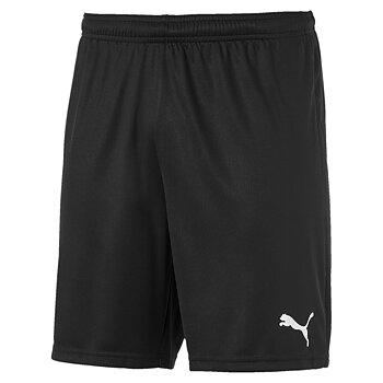 Puma Teamgoal 23 Knit Shorts SR  (Brösarps IF)