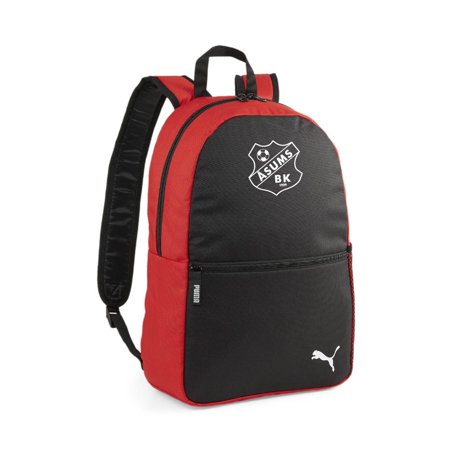 Puma Teamgoal 23 Backpack (Åsum BK)