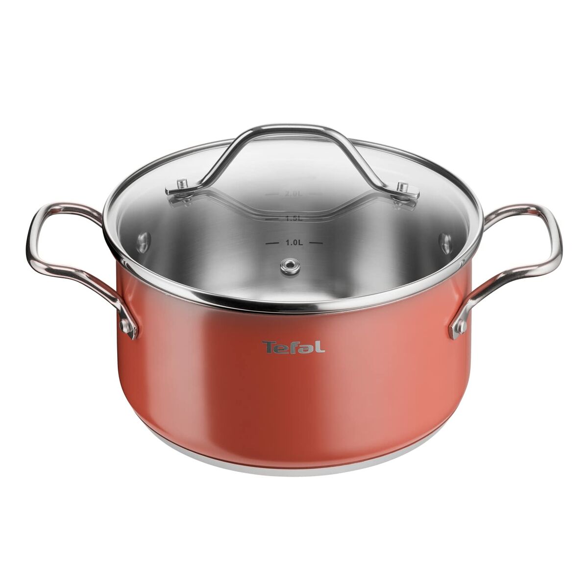 Kastrull Tefal Rostfritt stål Ø 20 cm