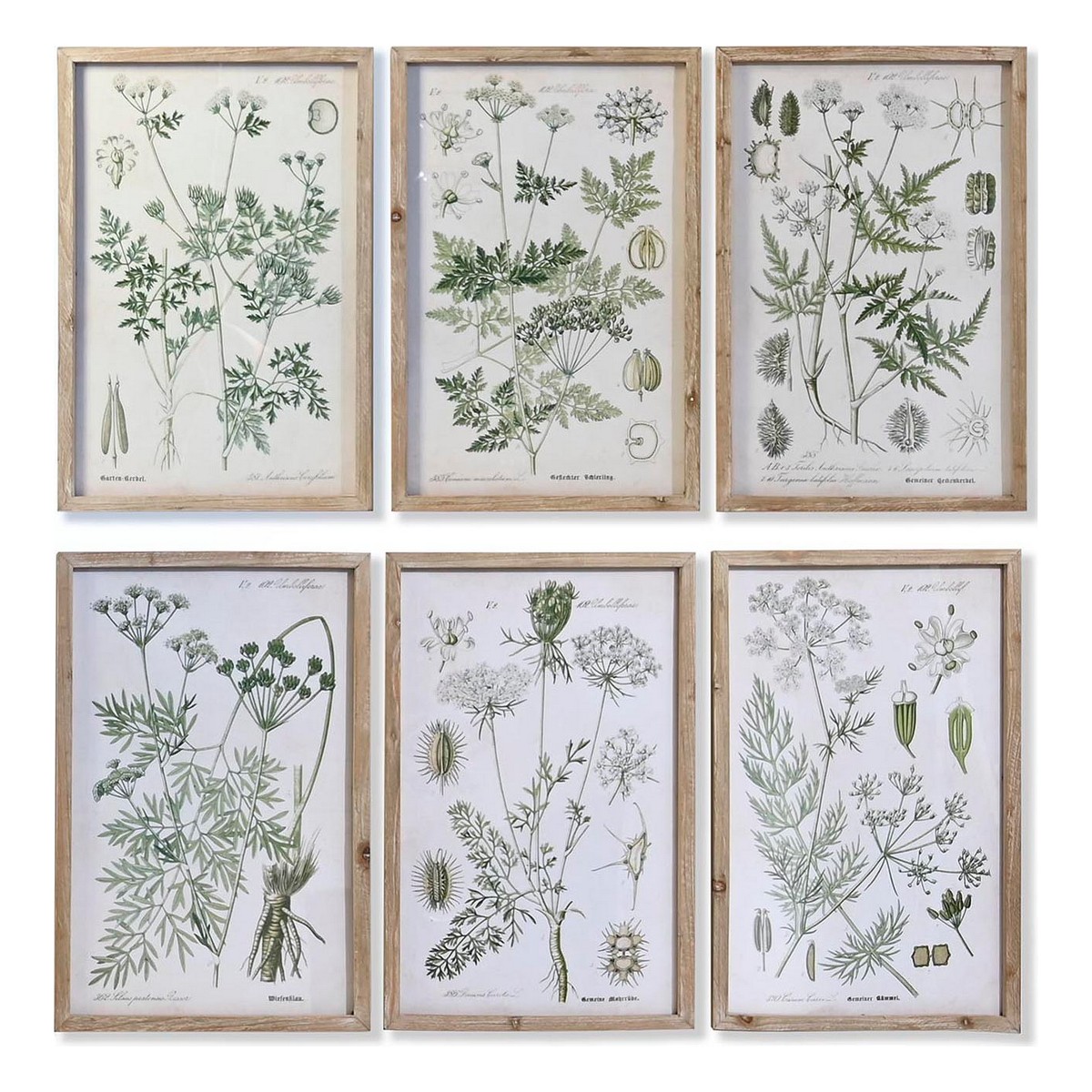 Tavla DKD Home Decor Gran Glas 40 x 2 x 60 cm Botaniska växter (6 Delar)