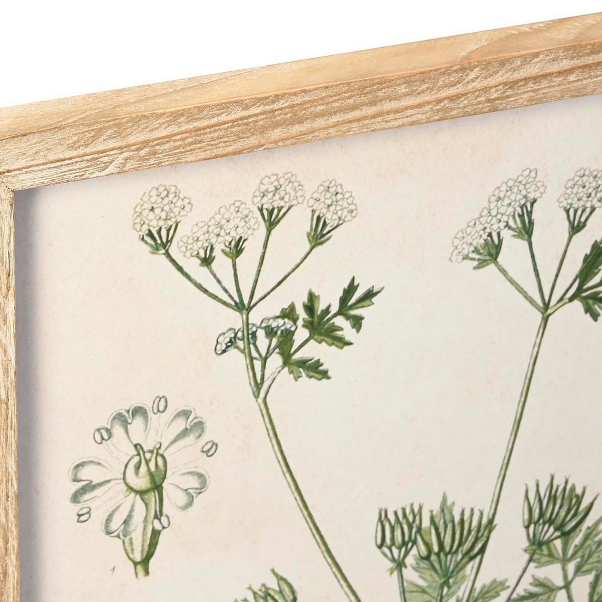 Tavla DKD Home Decor Gran Glas 40 x 2 x 60 cm Botaniska växter (6 Delar) - 3