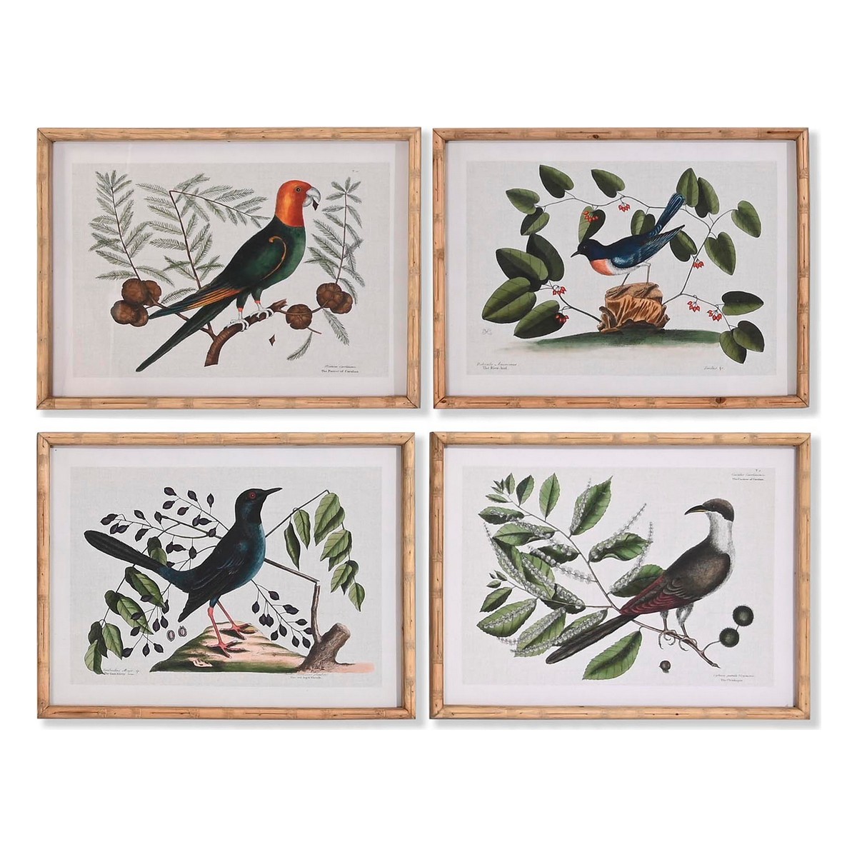 Tavla DKD Home Decor Glas Fåglar 65 x 16,5 x 50,2 cm (4 Delar)