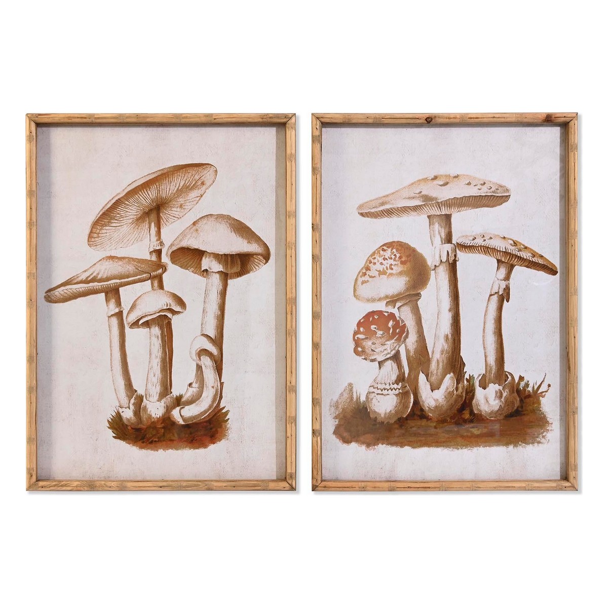 Tavla DKD Home Decor Glas 50 x 70 x 2,8 cm 50 x 2,8 x 70 cm Svamp (2 antal)