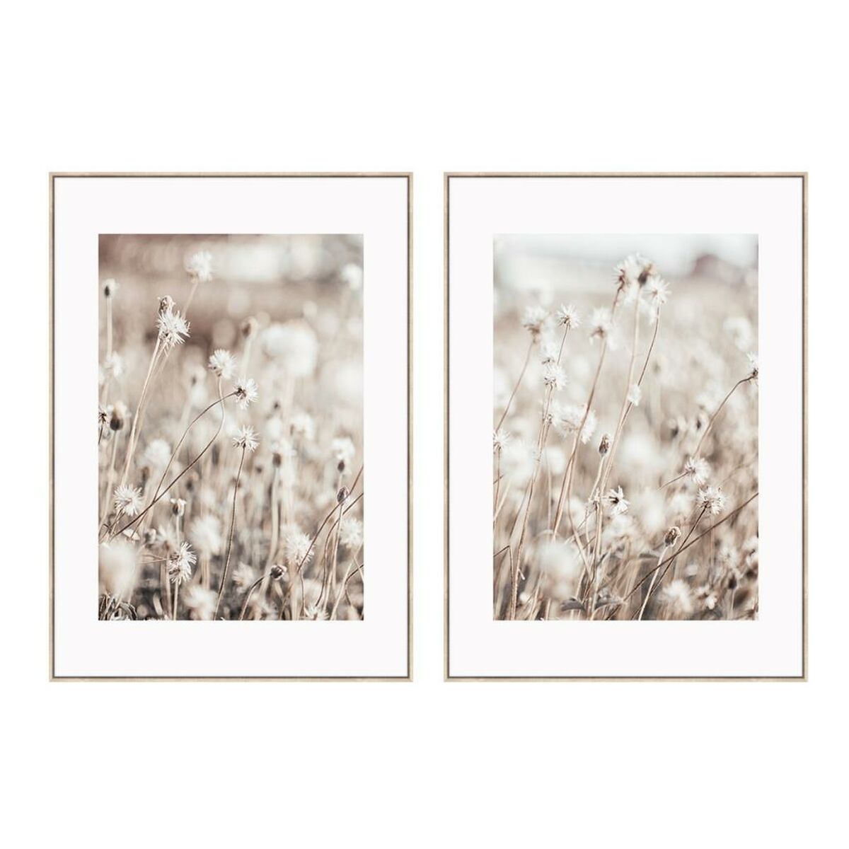 Tavla DKD Home Decor Virágok Skandinavisk 75 x 4 x 100 cm (2 antal)