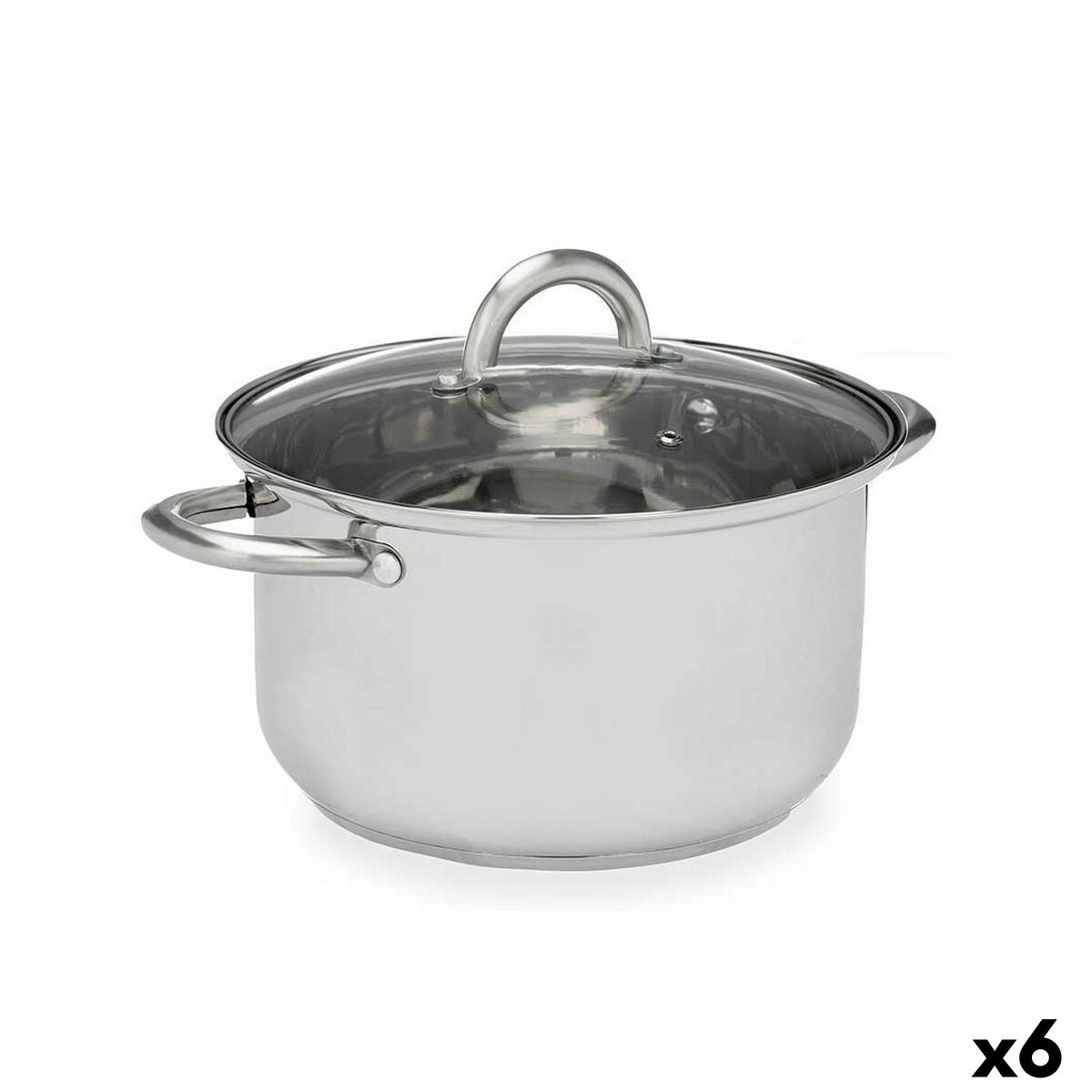 Kastrull med glaslock Silvrig Rostfritt stål 34 x 14,5 x 25,5 cm (6 antal)