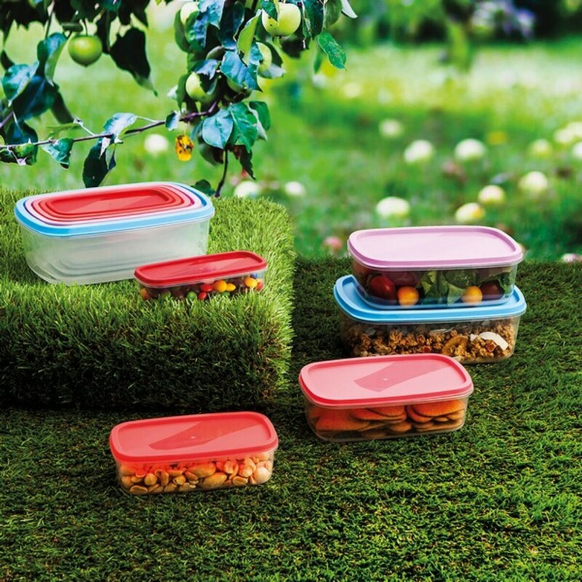 Lunchlådor, set 5 Quid Habitat Plast - 4
