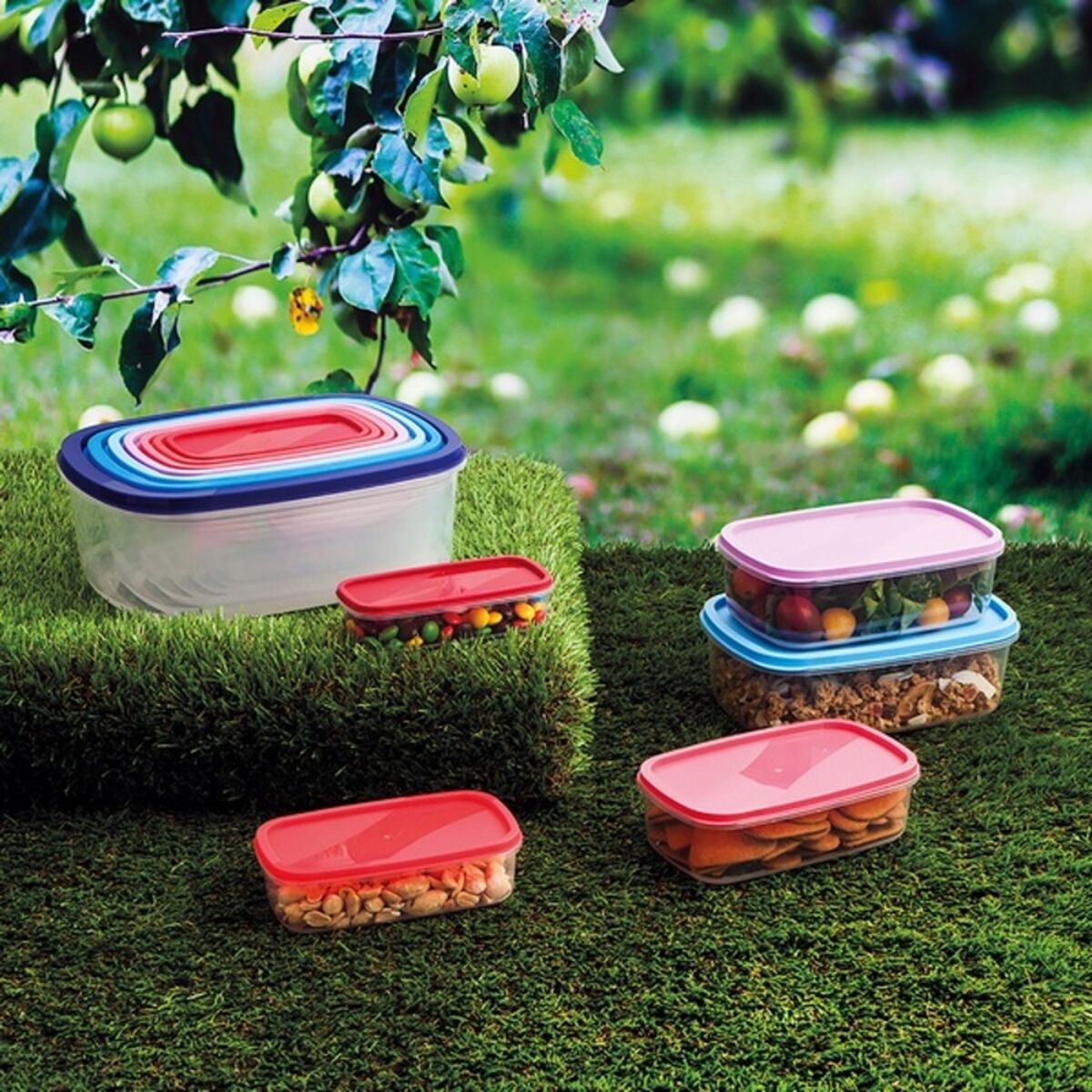 Lunchlådor, set Quid Habitat (7 pcs) Plast - 5