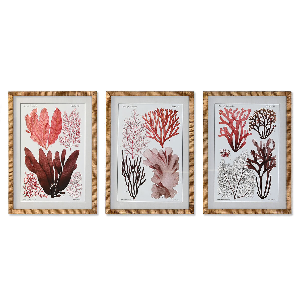 Tavla DKD Home Decor 50 x 2.5 x 70 cm 50 x 2,5 x 70 cm Medelhavs (3 Delar)