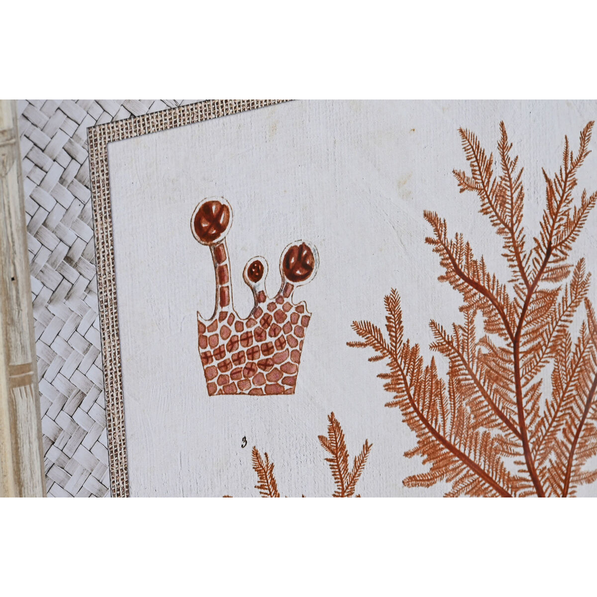 Tavla DKD Home Decor 50 x 2,8 x 65 cm Korall (4 Delar) - 2