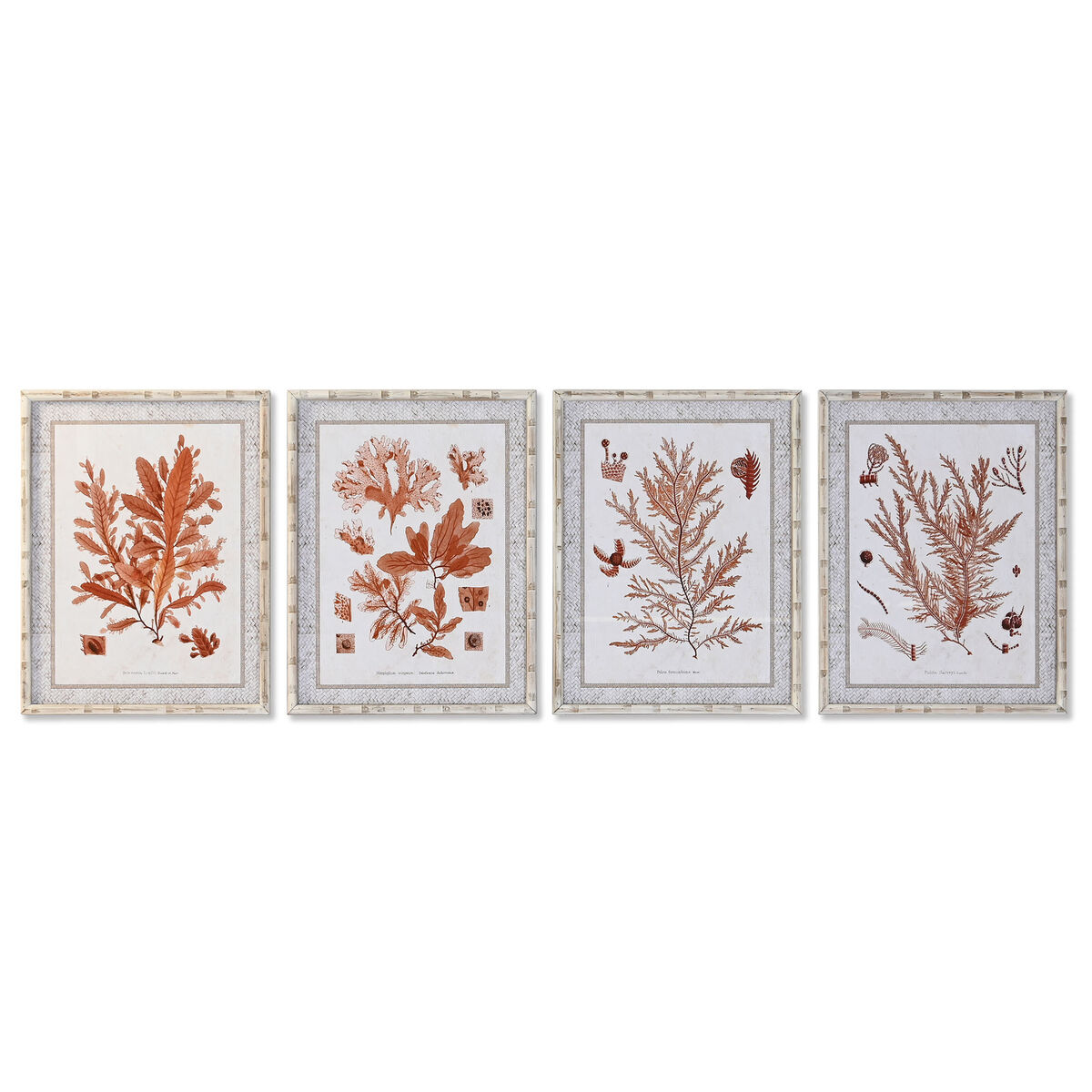 Tavla DKD Home Decor 50 x 2,8 x 65 cm Korall (4 Delar)