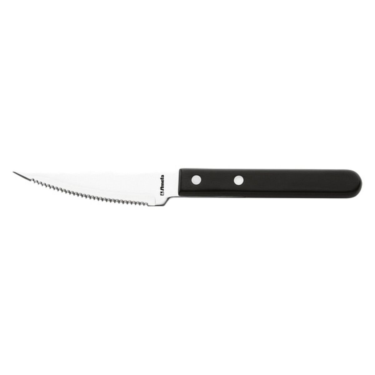 Knivset Amefa Såg Metall Rostfritt stål 12 antal (21,2 cm)