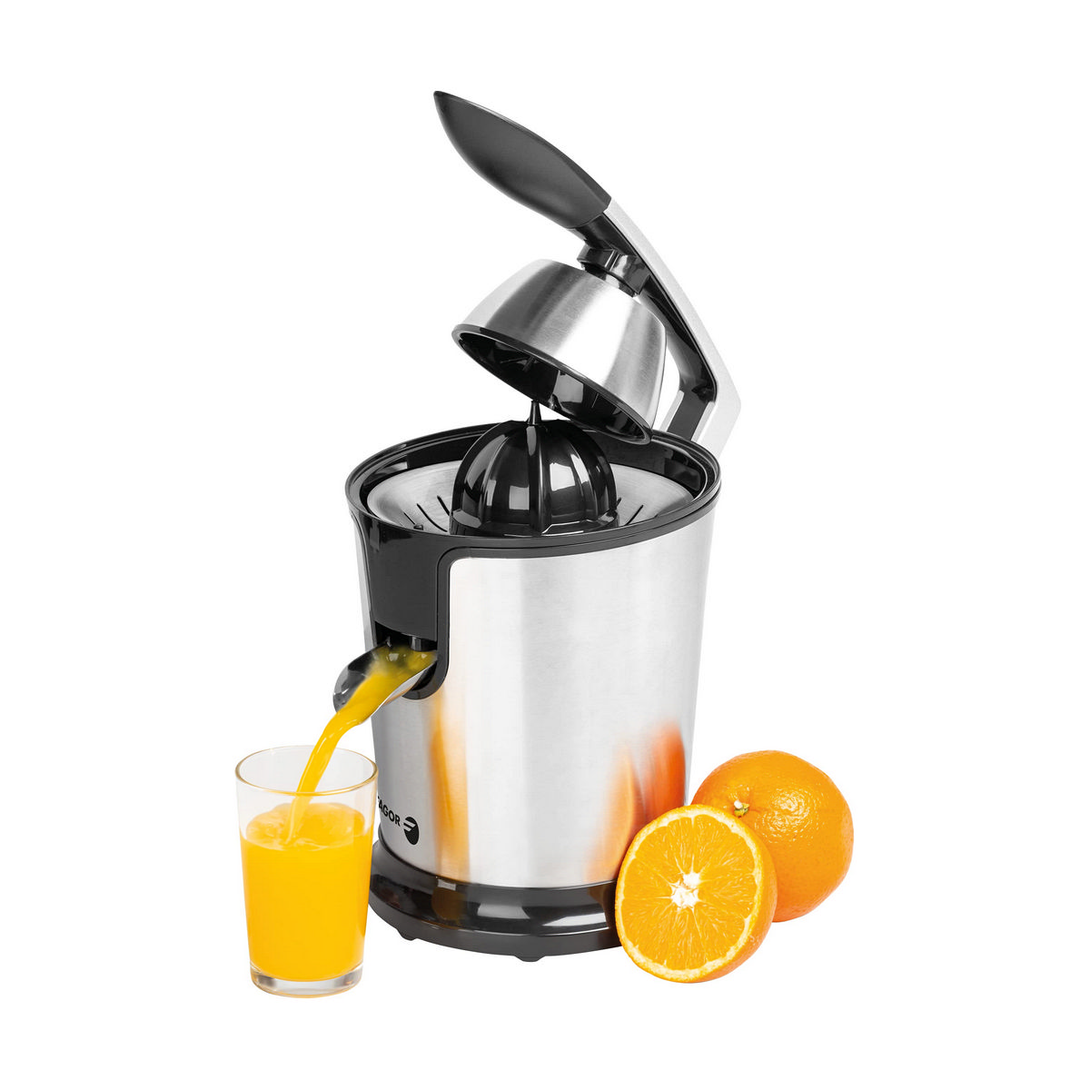 Elektrisk Juicepress FAGOR FGE618G Grå 300 W