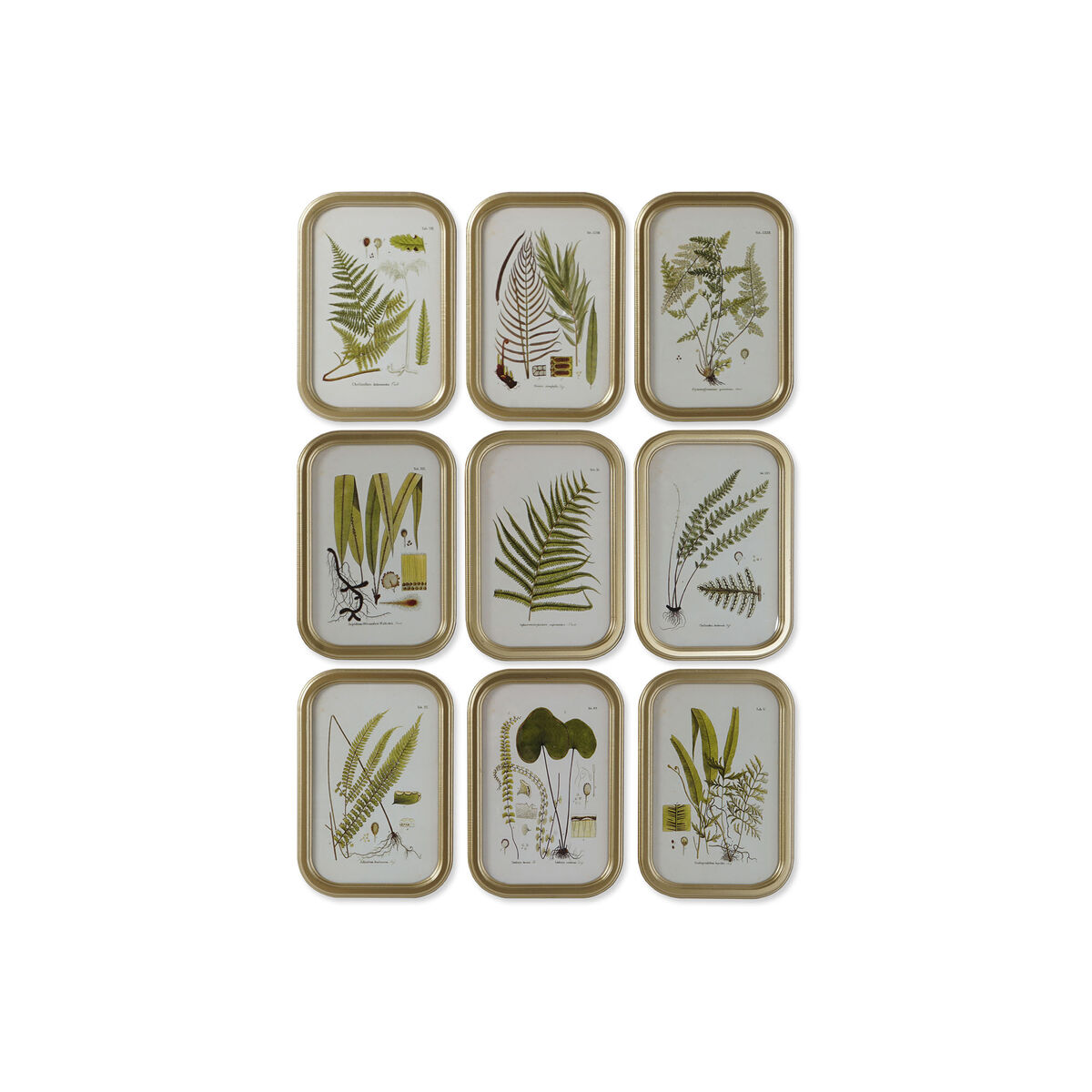 Tavla DKD Home Decor Modern Botaniska växter 30 x 2 x 45 cm (9 antal)