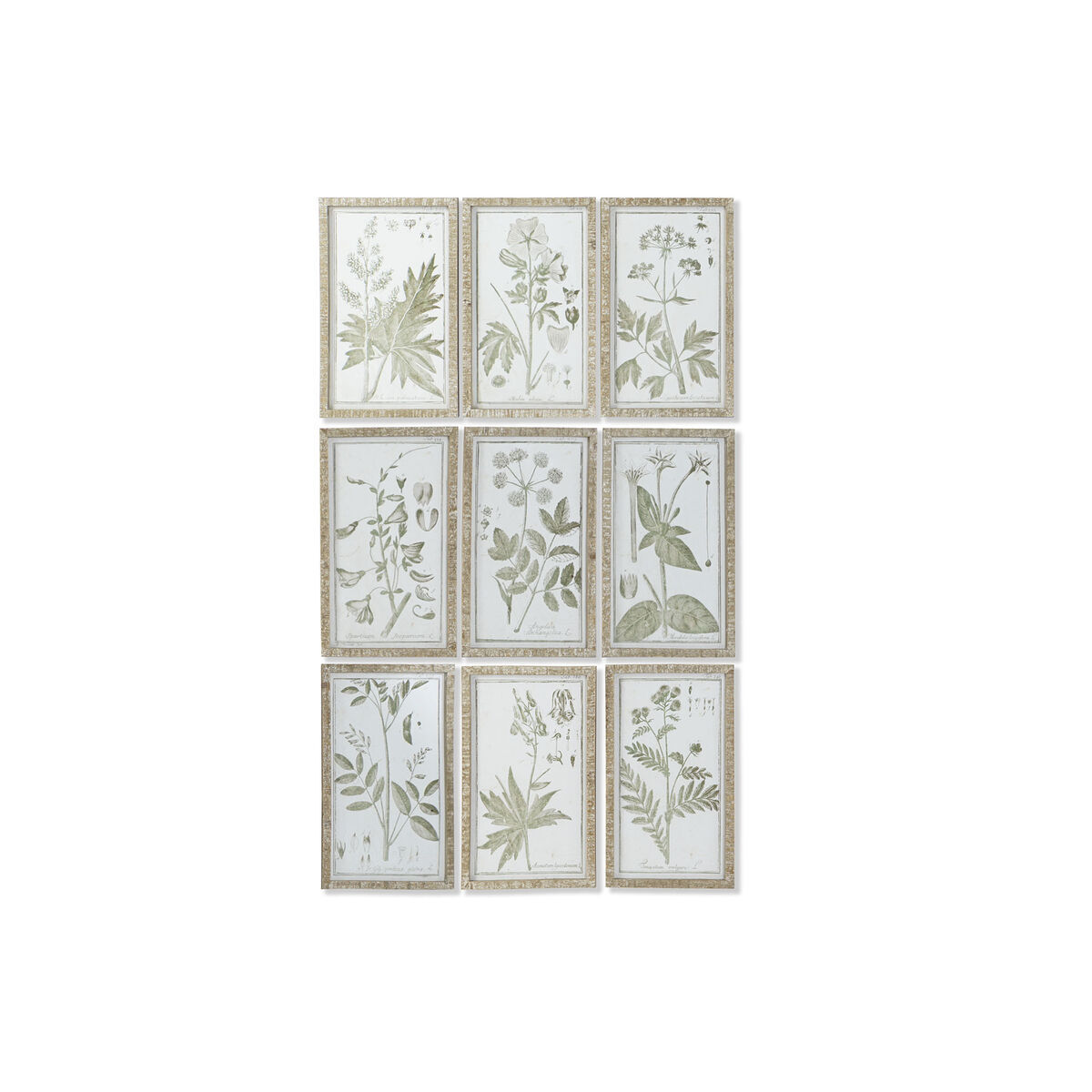 Tavla DKD Home Decor Cottage Botaniska växter 30 x 2 x 50 cm (9 antal)
