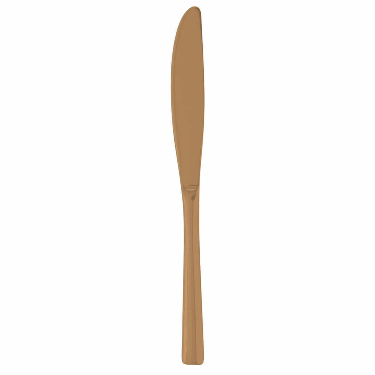 Bordskniv Bidasoa Ikonic Metall Koppar 12 antal - 2