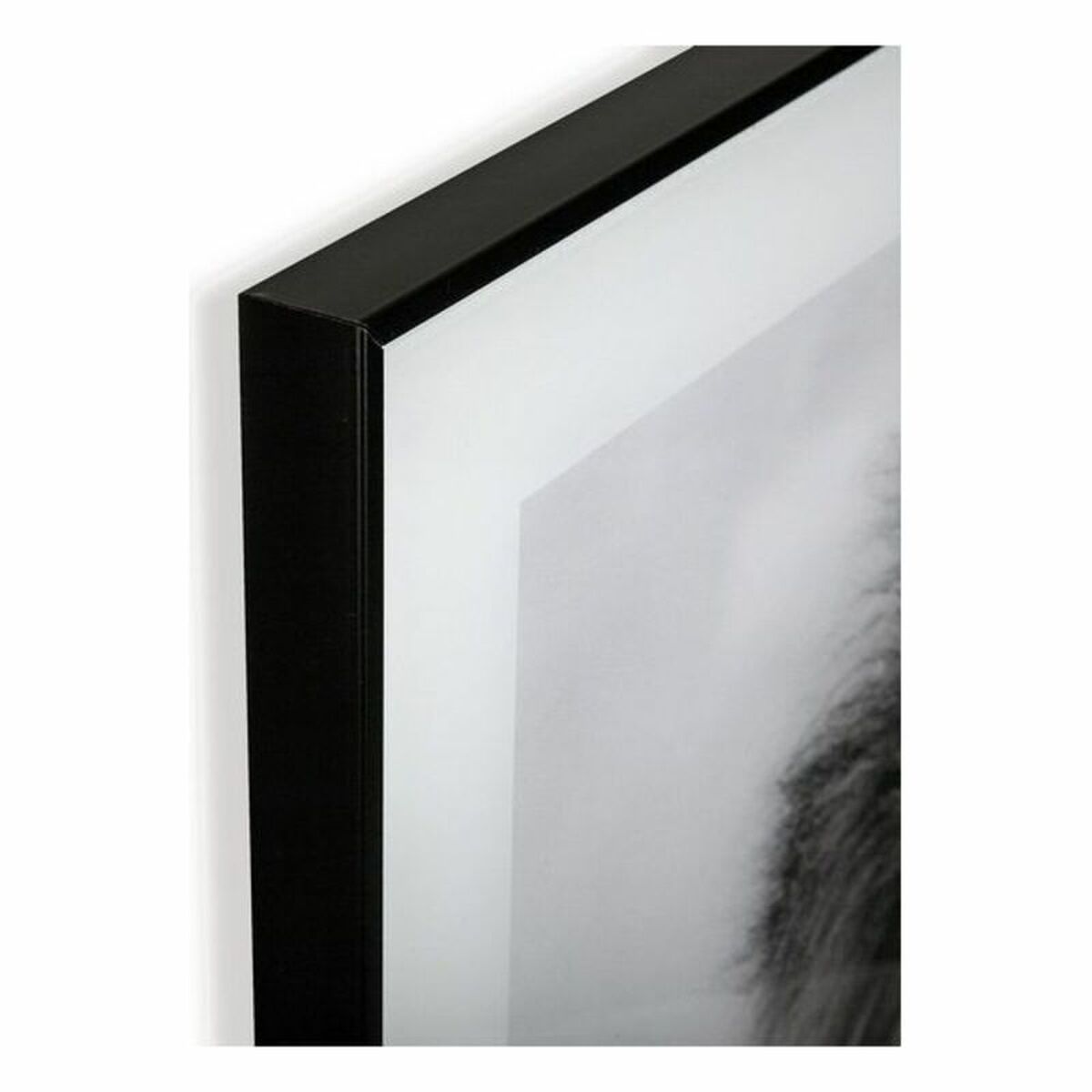 Tavla Versa Lejonet Glas 2 x 50 x 50 cm - 6