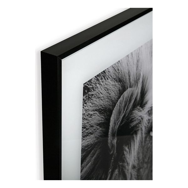 Tavla Versa Lejonet Glas 2 x 50 x 50 cm - 3