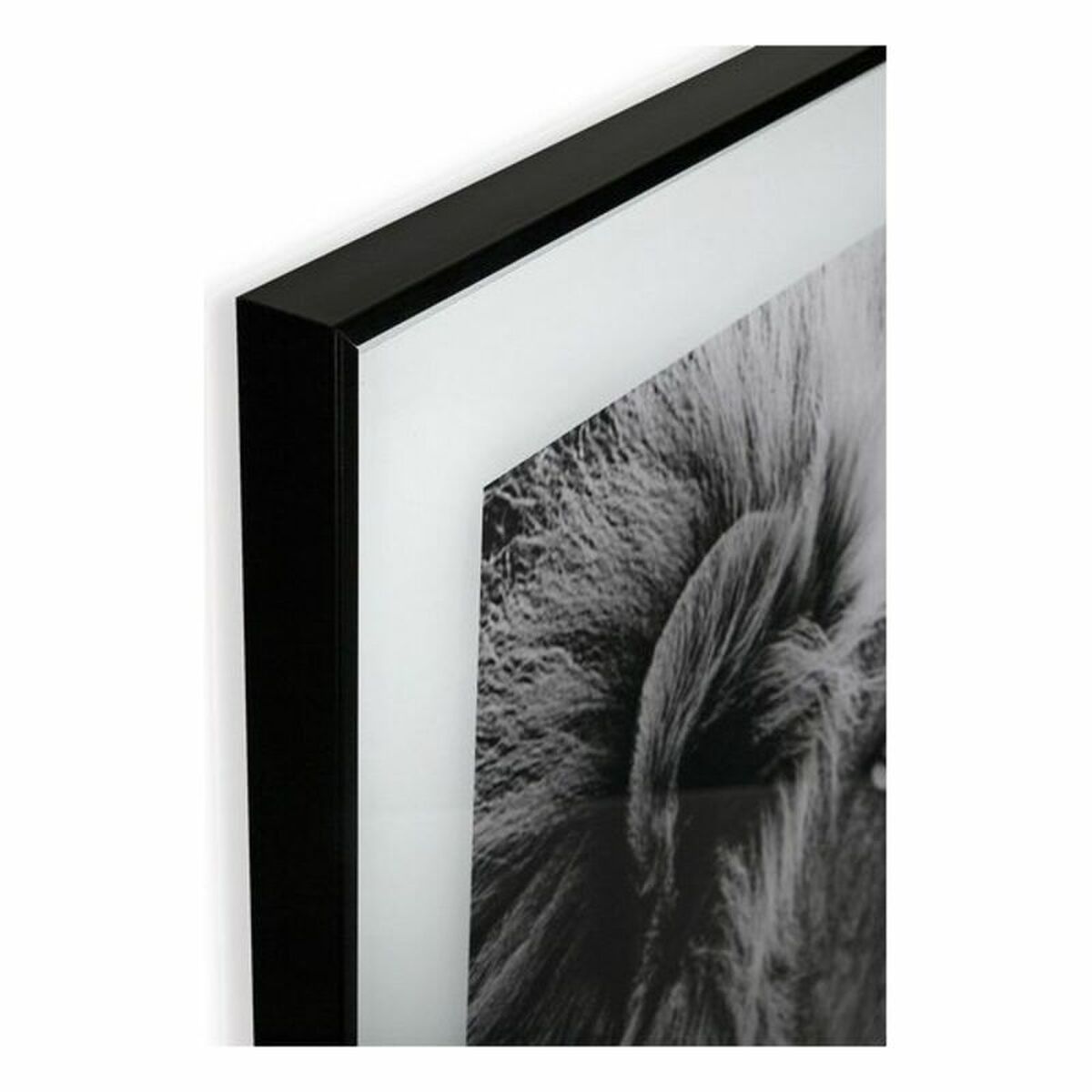 Tavla Versa Lejonet Glas 2 x 50 x 50 cm - 9