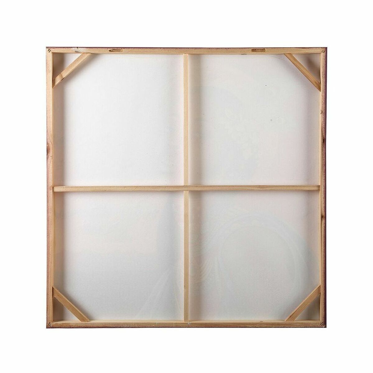 Tavla Versa Papegoja Kanvas (80 x 80 cm) - 7